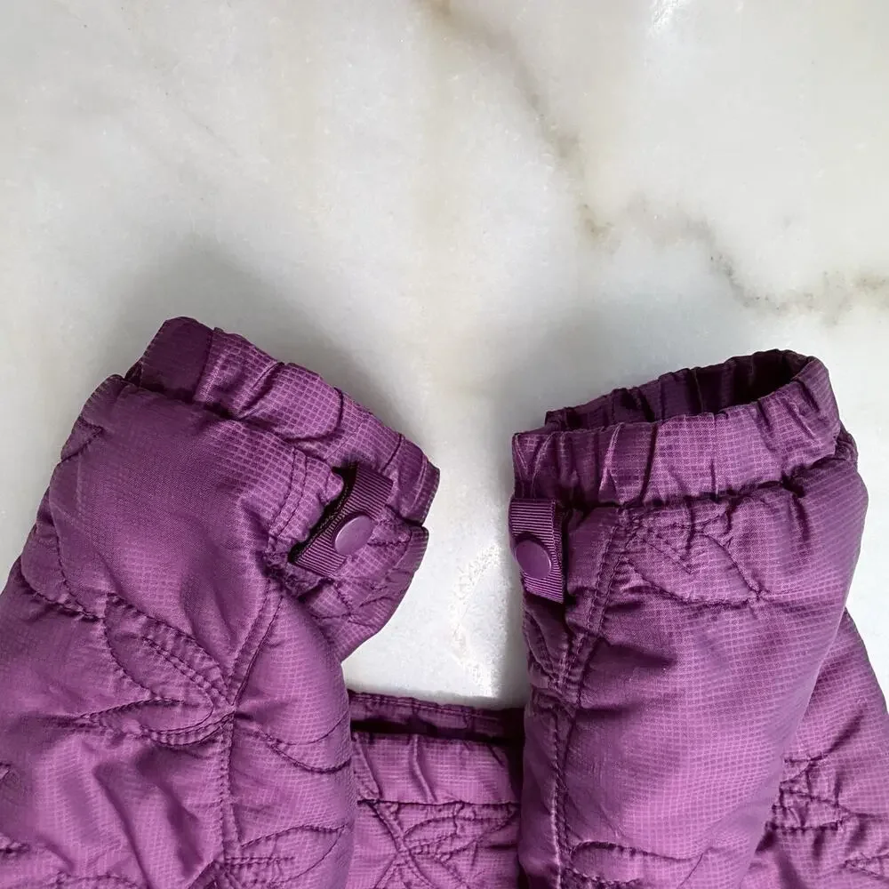The North Face this north
